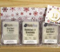 Set 13 - Soy Wax Melts