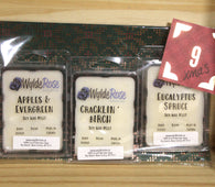 Set 9 - Soy Wax Melts